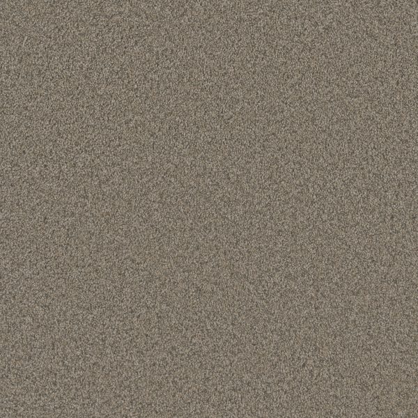 DreamWeaver BLAZER I - 6004 Umber