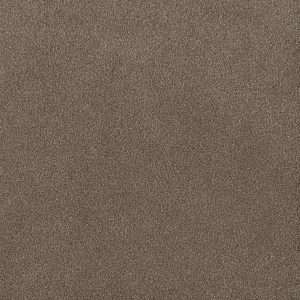 DreamWeaver PALMETTO I - 2114 Eagle Crest