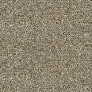 DreamWeaver CLEARWATER I - 774 Toasted Oat