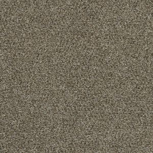 DreamWeaver CLEARWATER I - 834 Dark Truffle