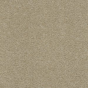 DreamWeaver CLEARWATER I - 2947 Sunflower