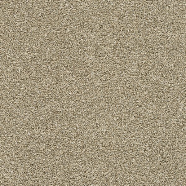 DreamWeaver CLEARWATER I - 2947 Sunflower