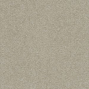 DreamWeaver CLEARWATER I - 4181 Wheat Grass