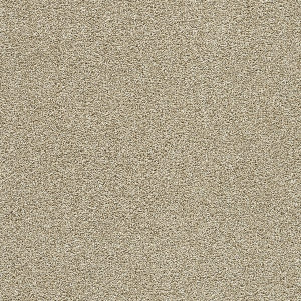 DreamWeaver CLEAR SKIES I - 580 Cream