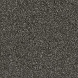 DreamWeaver NO LIMITS I - 2024 Magnetic