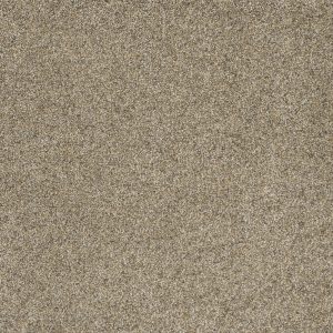 DreamWeaver ASTOUNDING II - 529 Amberwood