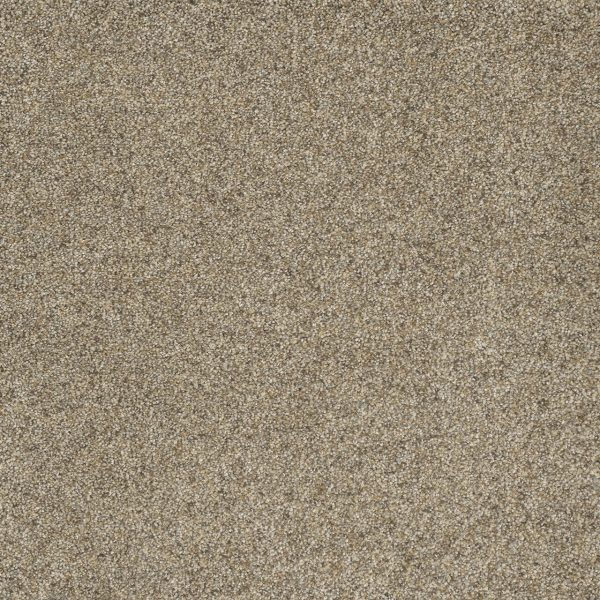DreamWeaver ASTOUNDING II - 529 Amberwood