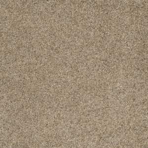 DreamWeaver ASTOUNDING I - 529 Amberwood