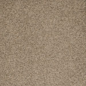 DreamWeaver ASTOUNDING I - 545 Fiery Clay