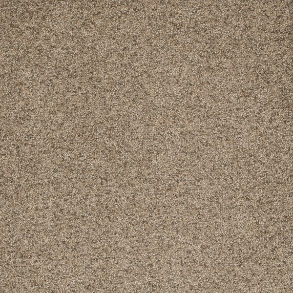 DreamWeaver ASTOUNDING I - 545 Fiery Clay
