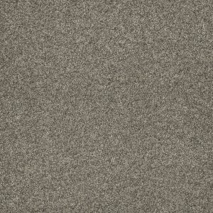 DreamWeaver ASTOUNDING II - 805 Baymont