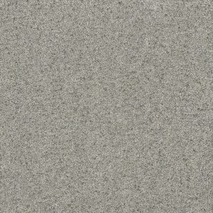 DreamWeaver ASTOUNDING I - 837 Nordic Mist