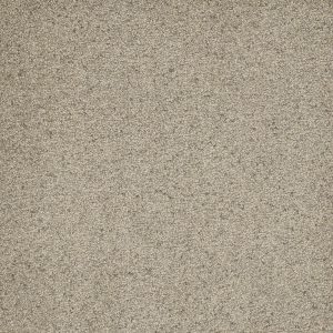 DreamWeaver ASTOUNDING II - 573 Pacific Breeze
