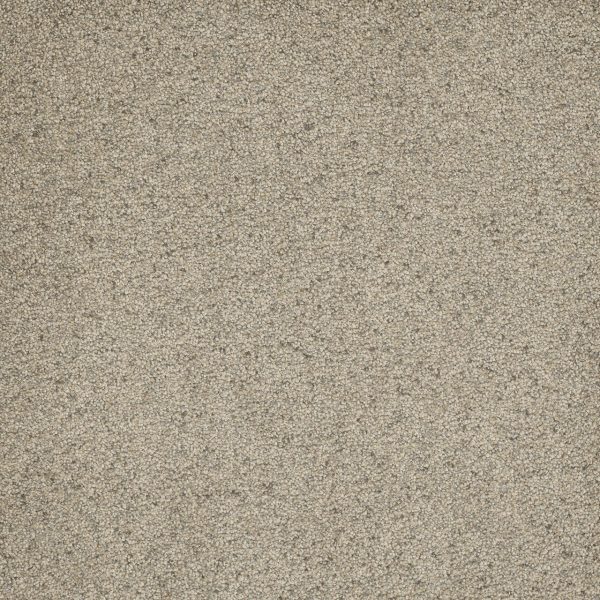 DreamWeaver ASTOUNDING II - 573 Pacific Breeze
