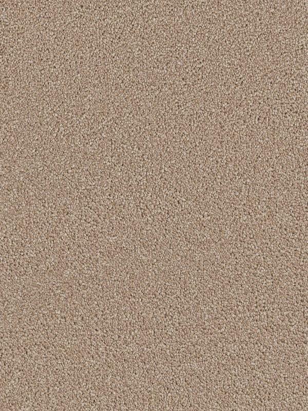 DreamWeaver CAPE COD - 530 Cashew