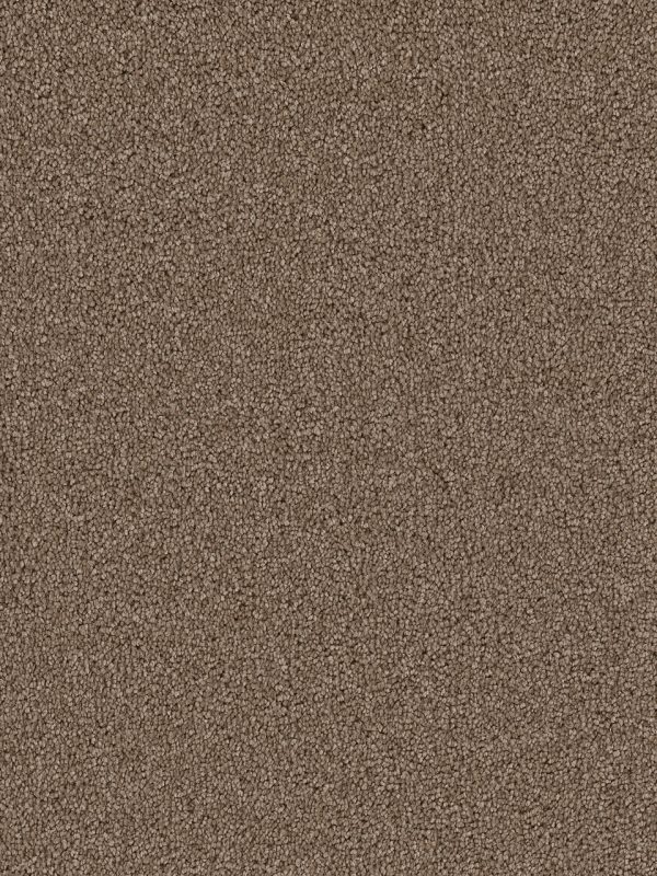 DreamWeaver CAPE COD - 550 Cocoa