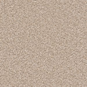 DreamWeaver CAPE COD - 720 Oxford