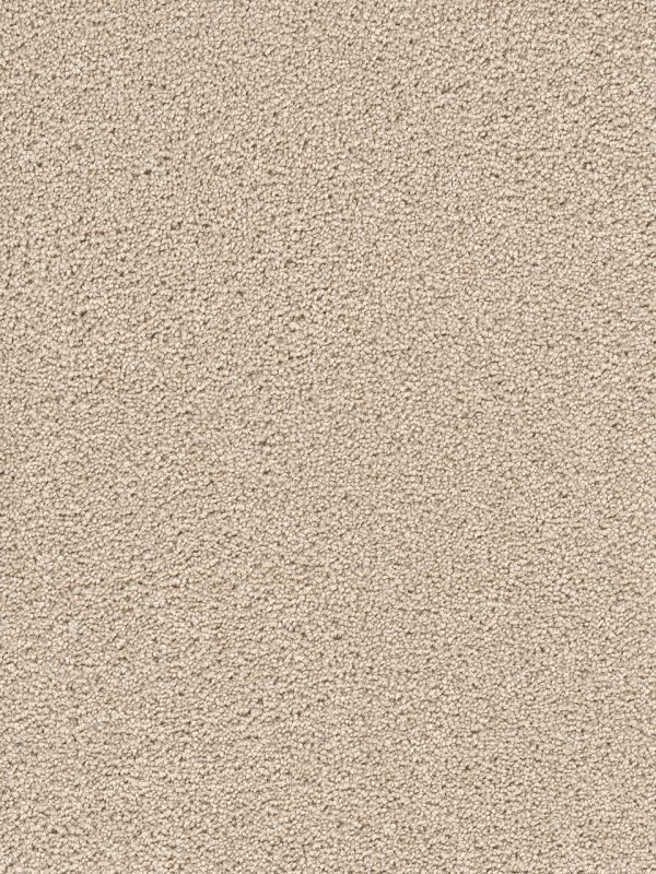 DreamWeaver CAPE COD - 730 Ivory