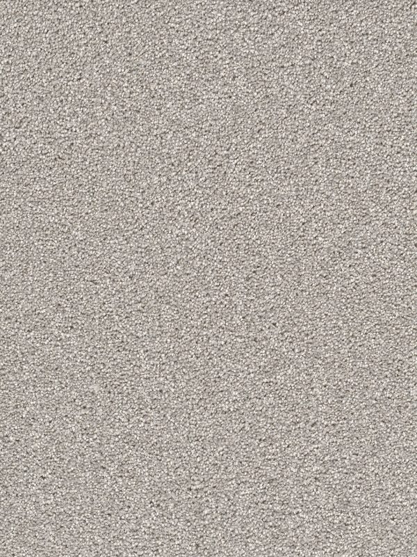 DreamWeaver CAPE COD - 800 Dove