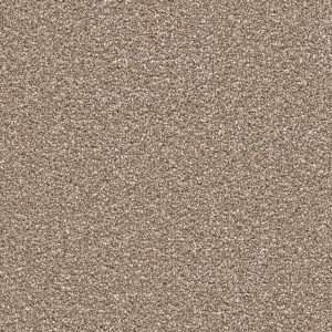 DreamWeaver CAPE COD - 858 Acorn