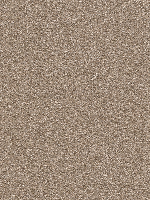 DreamWeaver CAPE COD - 858 Acorn