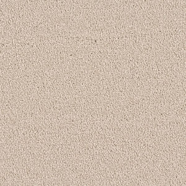 DreamWeaver EAST HAMPTON - 730 Ivory
