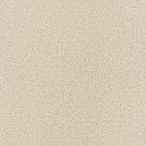 DreamWeaver MONTAUK - 730 Ivory