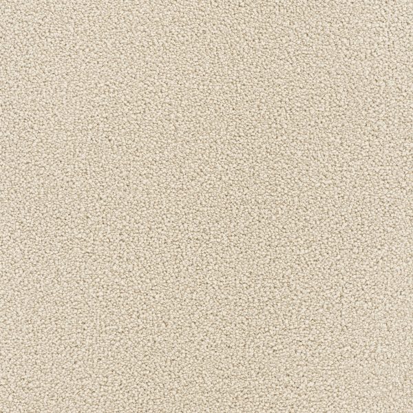 DreamWeaver MONTAUK - 730 Ivory