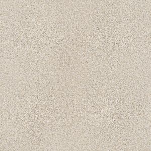 DreamWeaver MONTAUK - 744 Parchment