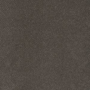 DreamWeaver PALMETTO III - 2064 Bear Paw