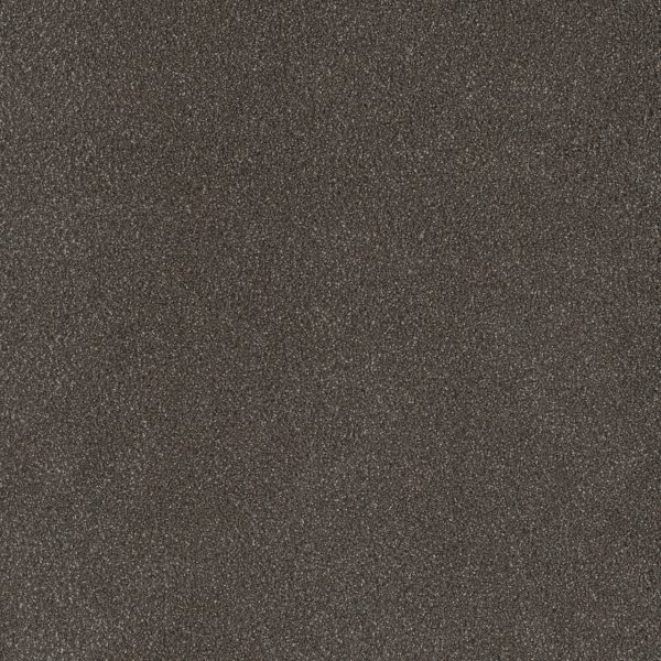 DreamWeaver PALMETTO III - 2064 Bear Paw