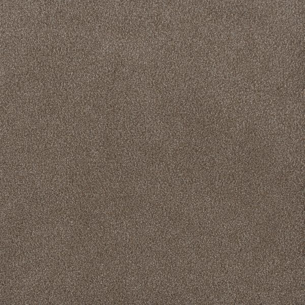 DreamWeaver PALMETTO III - 2114 Eagle Crest