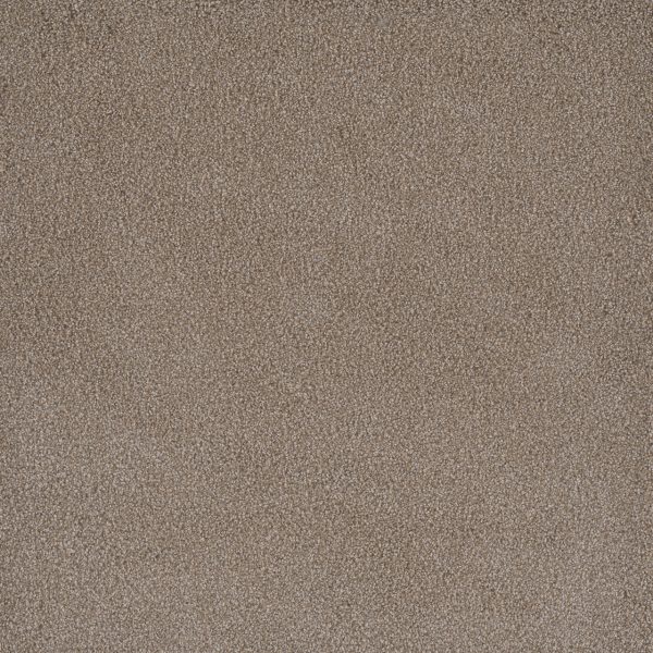 DreamWeaver PALMETTO III - 2220 Marigold