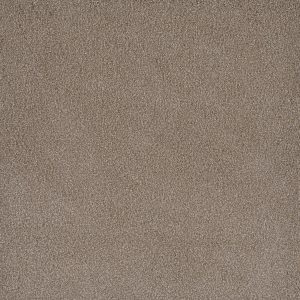 DreamWeaver PALMETTO II - 2220 Marigold