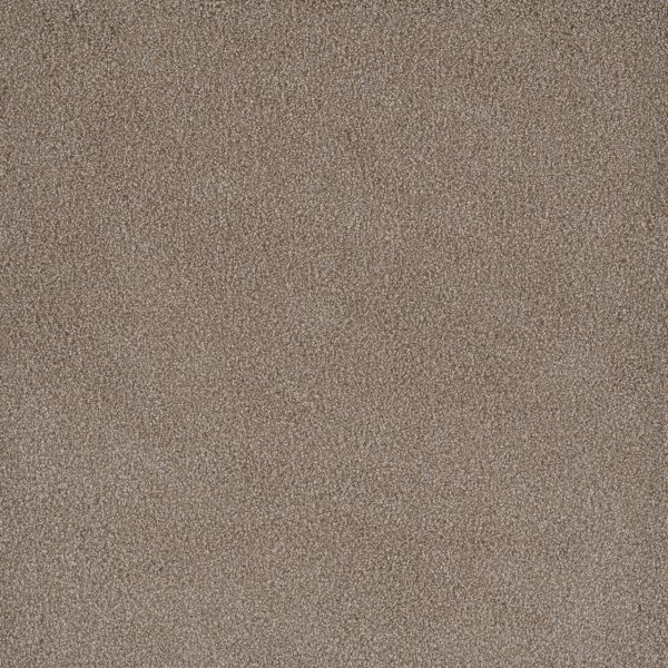 DreamWeaver PALMETTO II - 2220 Marigold
