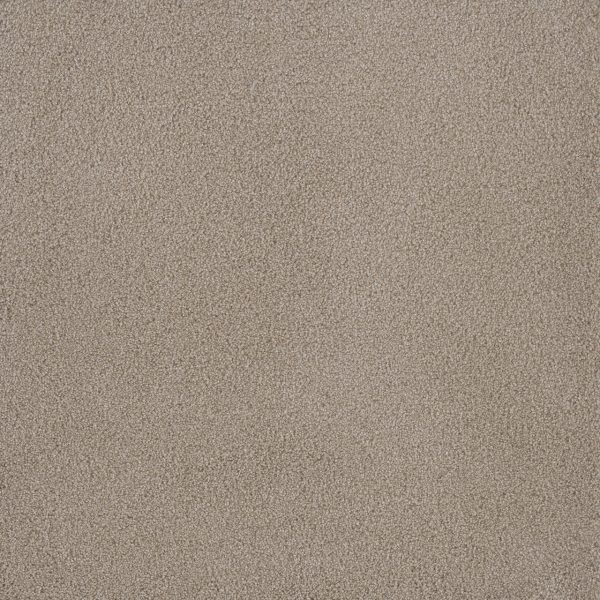 DreamWeaver PALMETTO III - 2235 Sun Washed