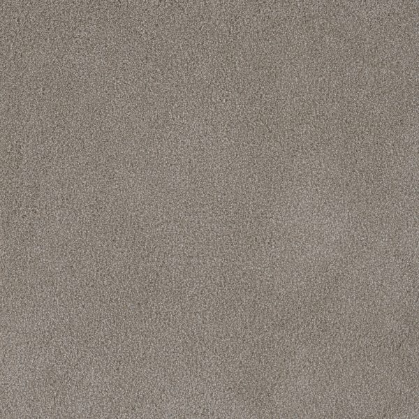 DreamWeaver PALMETTO III - 2275 Havana