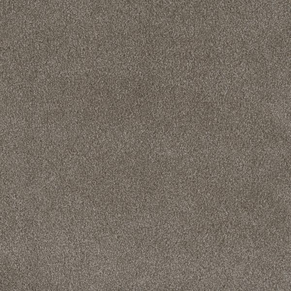 DreamWeaver PALMETTO III - 2303 Vienna