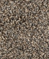 Medalist - 869 Taupe Whisper