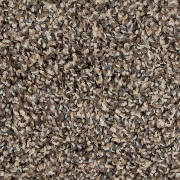 Medalist - 869 Taupe Whisper