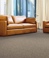 Mohawk Pure Wonder - 722 Warm Neutral