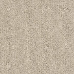 DreamWeaver PINPOINT - 6309 Champagne