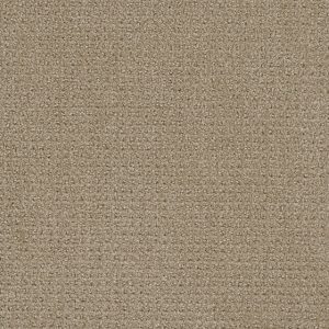 DreamWeaver PINPOINT - 6339 Warm Sand