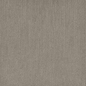 DreamWeaver SMOOTH SAILING - 2850 Greige