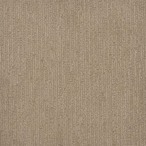DreamWeaver SURFSIDE - 2025 Almond Bark