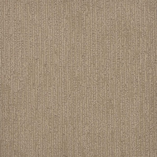 DreamWeaver SURFSIDE - 2025 Almond Bark