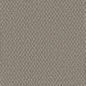 DreamWeaver GALACTIC - 2081 Pebble Hill