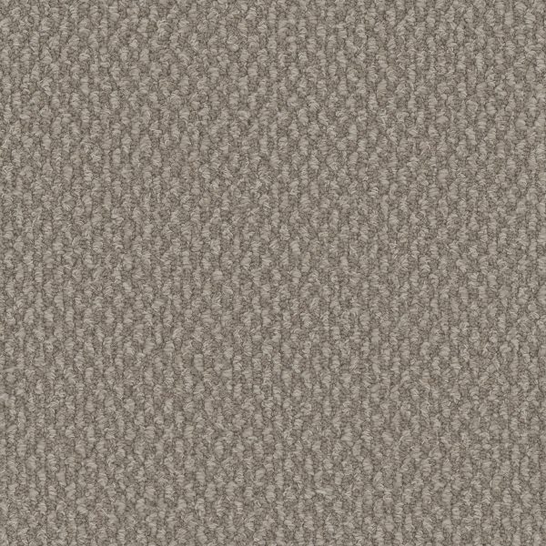 DreamWeaver GALACTIC - 2081 Pebble Hill