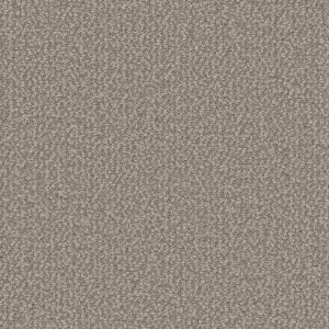 DreamWeaver INTERSTELLAR - 2081 Pebble Hill