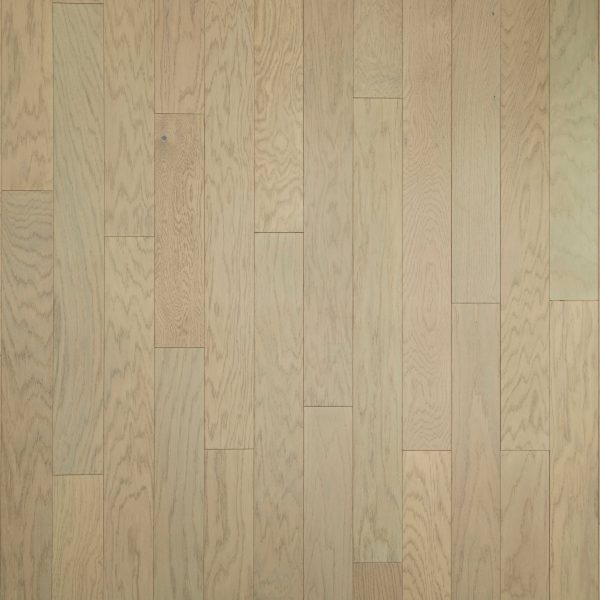 Mohawk Elegant Appeal III - 833 Salutation 8 x 48